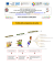 Anno Scolastico 2014/2015 Profilo delle competenze in uscita