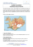 pdf - Le Vie del Nord