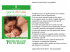 7 azioni per la vita del tuo bambino