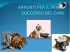 appunti per il primo soccorso del cane - CCV-MI