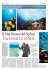 Il reporter del mare - Rino Sgorbani Web Site