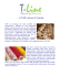 … Il VoIP a misura d`Azienda - T-Line