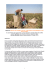 abstract - Terre des Hommes