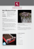 Scarica - Koppert Cress Italy