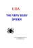 the very busy spider - istituto comprensivo di calcinaia