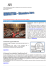 newsletter di dicembre
