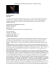Versione PDF - Comune di Pesaro