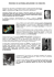 PERCORSI DI AUTOREALIZZAZIONE E DI CRESCITA
