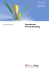 Consulenza Private Banking - Banca dello Stato del Cantone Ticino