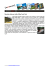 newsletter.Maggio.2013