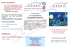 Brochure Fisioterapia_nelle_CP