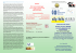 Advanced cell culture systems in tumor biology