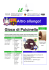 Numero 30 del 02/04/2009 (giornata 29)