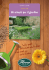 Gli arbusti per il giardino