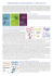 libri per ragazzi rizzoli: a selection