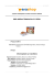 Erashop MarketPlace - DBZ ARENA TENKAICHI C/1 PERS.