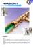 prodoral r6-1 - Gastech Instruments srl