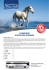 Scarica il programma in PDF