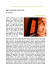 documento in formato PDF