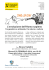 L`evoluzione dell`Homo sapiens