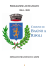 Programma di mandato 2014-2019