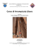 Corso di Arrampicata Libera