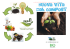 Compost Bioenergia per WEB