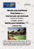 Week-end sull`Etna Taormina e… Carnevale ad Acireale