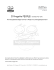 Il progetto PEOPLE (Italiano)