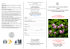 Brochure - Ordine Medici Napoli