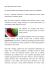 Dieta della frutta e della verdura