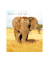 Itinerario dettagliato_Stanley Safari