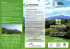 Scarica la brochure in pdf