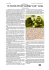 pag 41 - In ricordo di Carl Ludwig “Lutz” Long