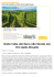Dalla Valle del Reno alla Strada dei Vini della Mosella