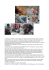 Il crushing - Fronte Liberazione Animale