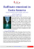 Raffinate emozioni in Costa Azzurra Gorges del Verdon, Cannes