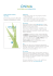 stampa - Onima - Discover the Wealth of Pure Aloe Vera