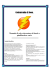 Manuale di Volo standard della Confraternita di Roon