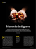 Merende indigeste
