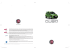 www.fiatqubo.it