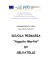 Primaria Selvatelle PROGETTO DI PLESSO 2016-2017
