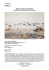 Mostra Artista-in-Residenza