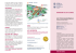 Scarica - Azienda Sanitaria Universitaria Integrata di Udine