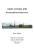 Aspetti economici della disuguaglianza linguistica