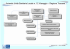 Organigramma