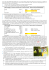 1 Esercitazione base (Lucy`s Lemonade)