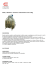 BG65 / BIG-BAG - Pesatrice confezionatrice oltre 10Kg
