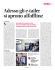 221_E_tailer_fisici