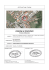 COMUNE di TOLENTINO - Urbanistica Tolentino